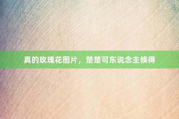 真的玫瑰花图片,楚楚可东说念主倏得